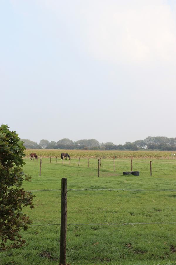 Gastenverblijven Boerderij Het Driespan Мідделбург Екстер'єр фото