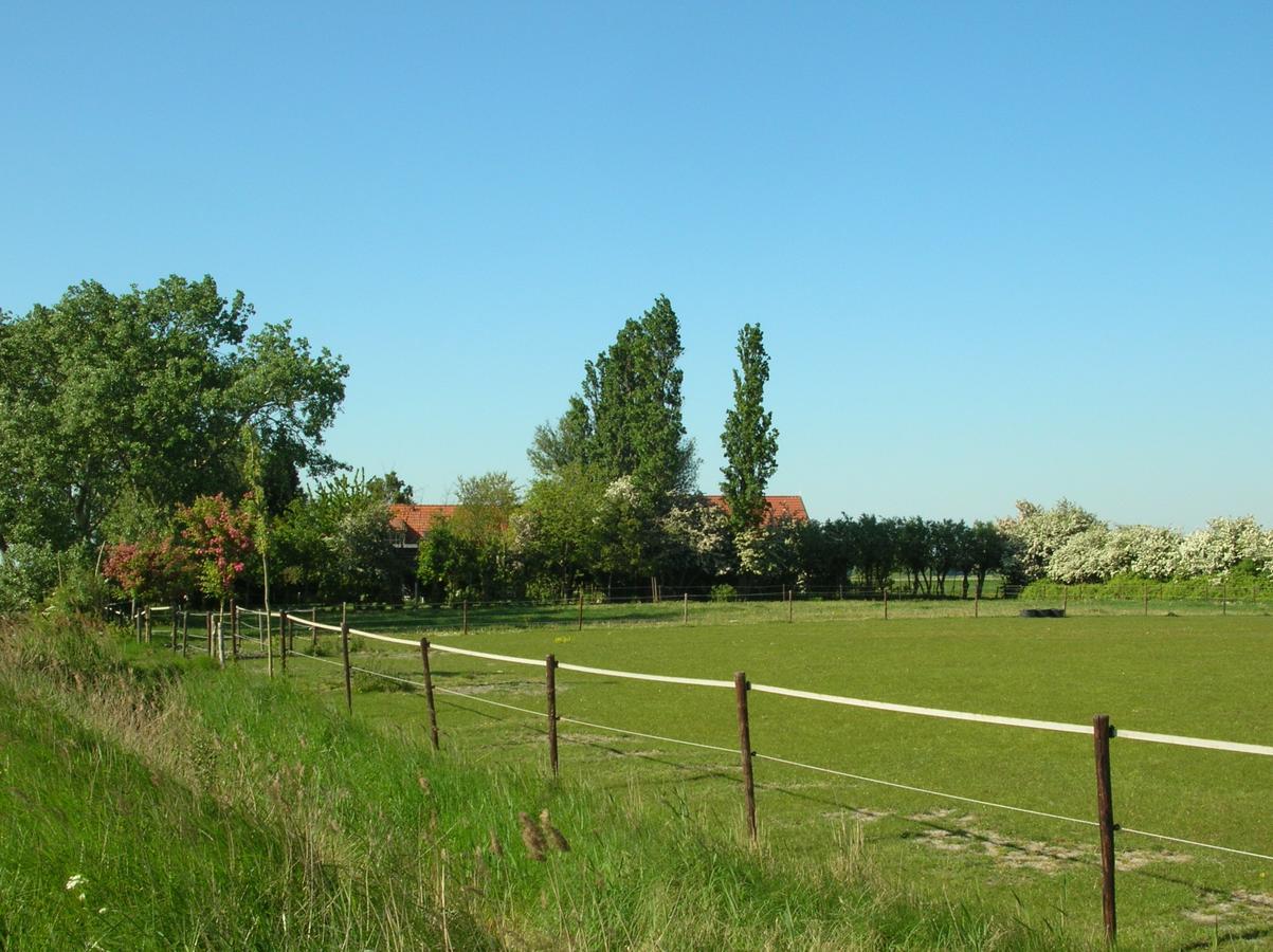 Gastenverblijven Boerderij Het Driespan Мідделбург Екстер'єр фото